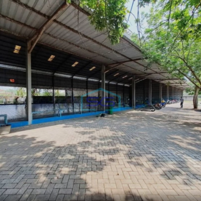 Dijual Tanah Bonus Gudang Luas Tanah 4991m2 Kapas Bojonegoro Jawa Timur