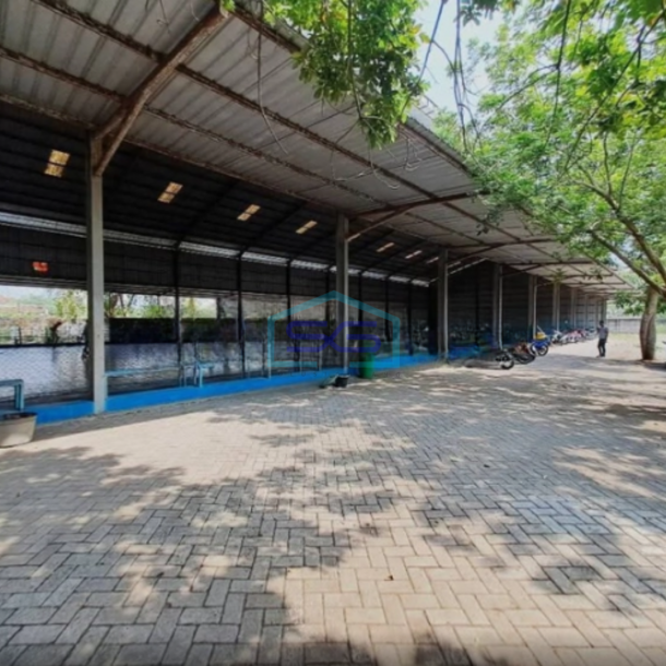 Dijual Tanah Bonus Gudang Luas Tanah 4991m2 Kapas Bojonegoro Jawa Timur-2