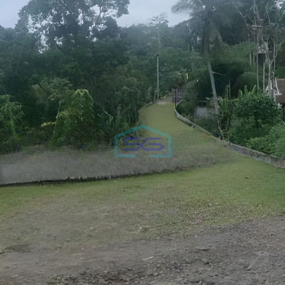 Dijual Pabrik Lokasi Strategis Luas Tanah 12000 m² di Sukabumi