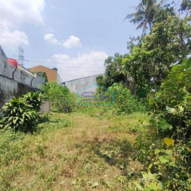 Dijual Tanah Bonus Gudang Jln Raya Bantul Yogyakarta-3