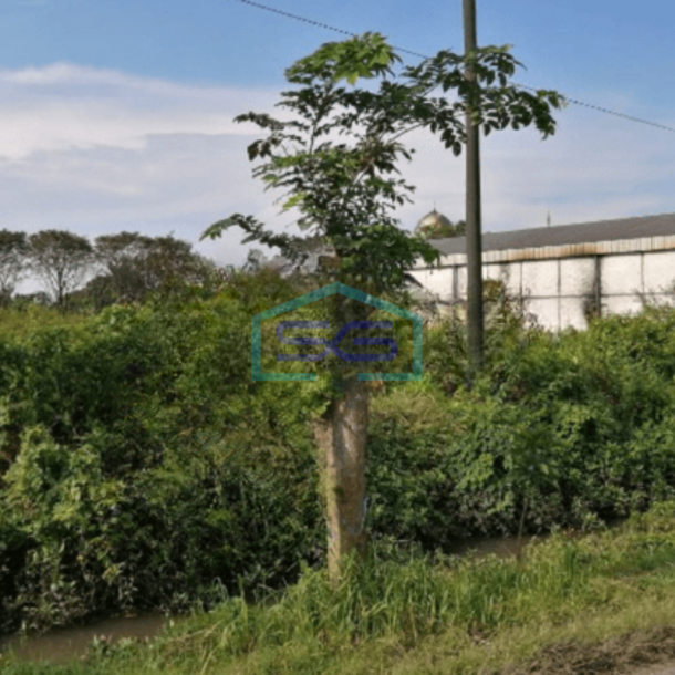 Dijual Tanah di Krembung Sidoarjo Jawa Timur-1