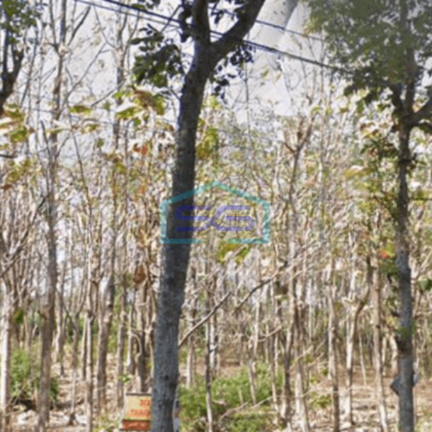Dijual Tanah di Nganjuk Jawa Timur-1