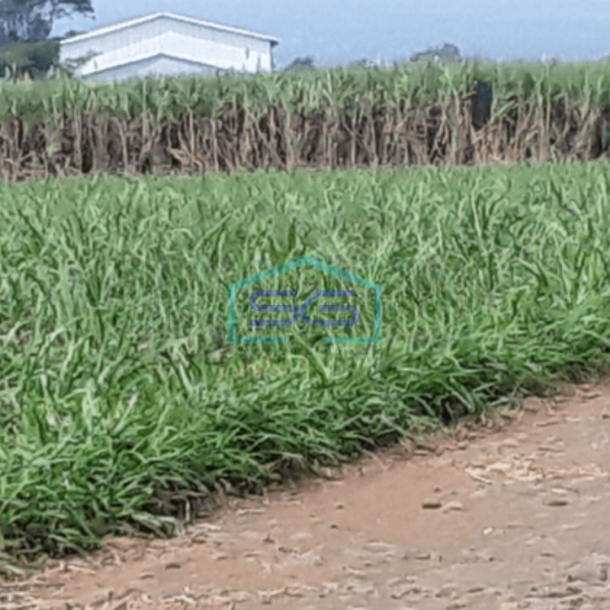 Dijual Tanah di Pakis Malang Jawa Timur-1