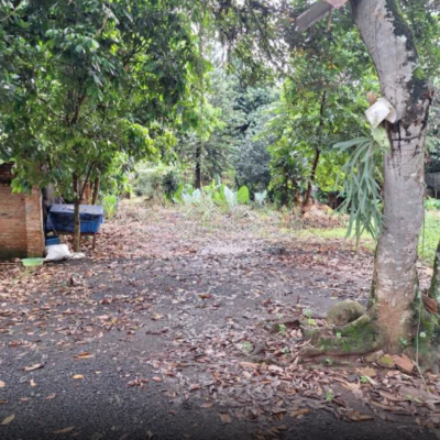 Dijual Tanah lokasi sangat Strategis Dekat kawasan MM2100 Setu Bekasi Luas Tanah (PxL)  4700 m