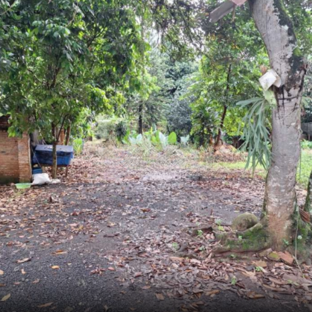 Dijual Tanah lokasi sangat Strategis Dekat kawasan MM2100 Setu Bekasi Luas Tanah (PxL)  4700 m-4