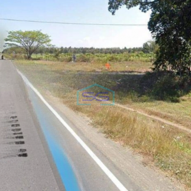 Dijual Tanah Luas  5100 m² Harga Nego di Purwodadi Purworejo-1