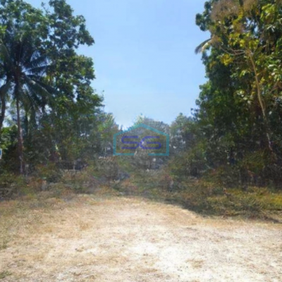 Dijual Tanah Luas 2029 m² di Pengasih Kulon Progo