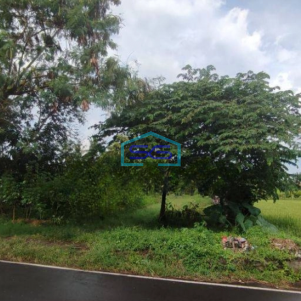Dijual Tanah Luas 2800 m²  di Kasihan Bantul Yogyakarta-1