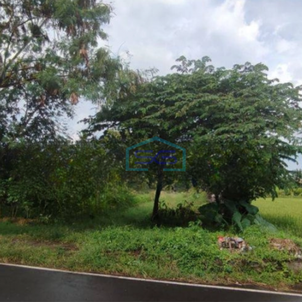 Dijual Tanah Luas 2750 m²  di Ngaglik Sleman Yogyakarta-1