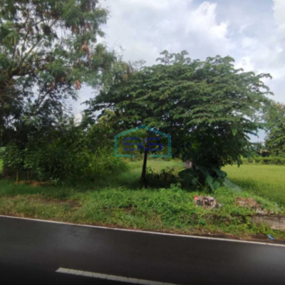 Dijual Tanah Cocok Untuk villa Atau Resto Di Ngaglik Sleman Jogja Luas tanah 2750 m²