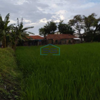 Dijual Tanah Industri Di Bambe Driyorejo Gresik Jawa Timur Luas Tanah 5030 m²-3