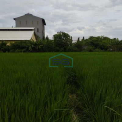 Dijual Tanah Industri Di Bambe Driyorejo Gresik Jawa Timur Luas Tanah 5030 m²