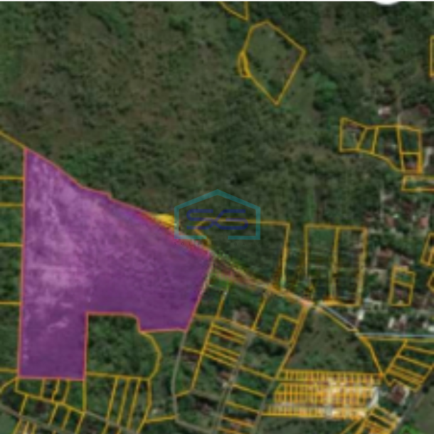 Dijual Tanah Cocok Untuk Pabrik Atau Gudang, Wuryantoro, Wonogiri Luas Tanah 50966 m²-2