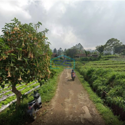 Dijual Tanah Di Desa Sukajaya, Lembang, Bandung Barat, Jawa Barat Luas Tanah 4886 m²