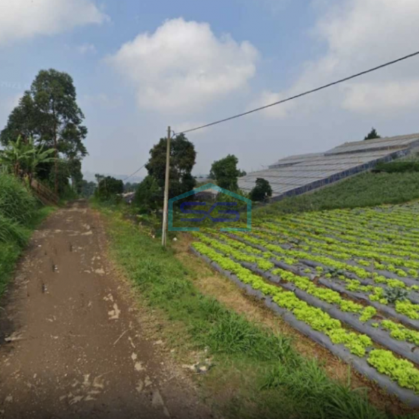 Dijual Tanah Di Desa Sukajaya, Lembang, Bandung Barat, Jawa Barat Luas Tanah 4886 m²-1