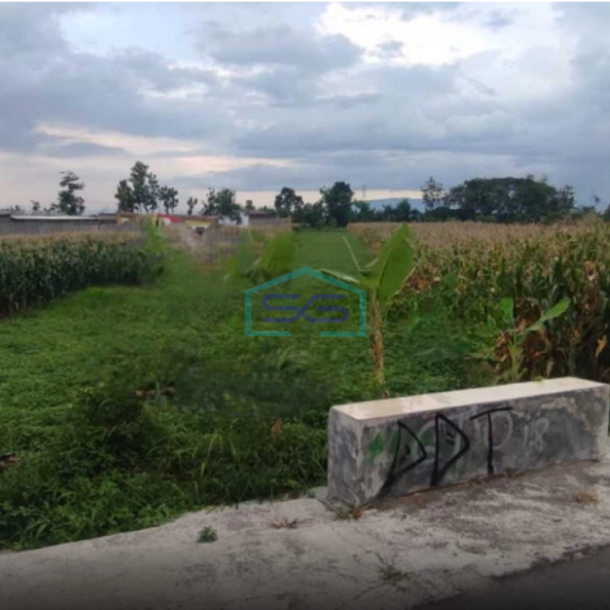 Dijual Tanah Sawah Di Mlese, Ceper, Klaten, Jawa Tengah Luas Tanah 1950 m²-2
