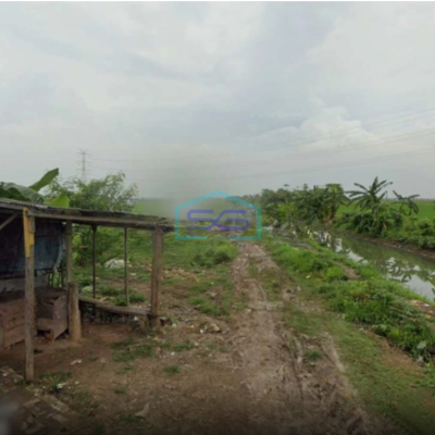 Dijual Tanah Di Sukamanah, Sukatani, Bekasi, Jawa Barat Luas Tanah 3651 m²