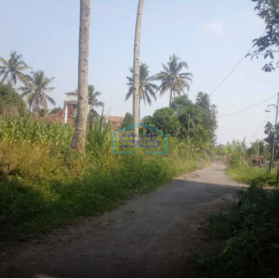 Dijual Tanah Sawah Coock Untuk Villa Di Candibinangun  Pakem Sleman Luas Tanah 1980 m²
