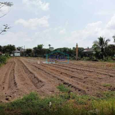 Dijual Tanah Luas Dekat Sekolah Di Harjobinangun, Pakem, Sleman Luas tanah 3616 m²