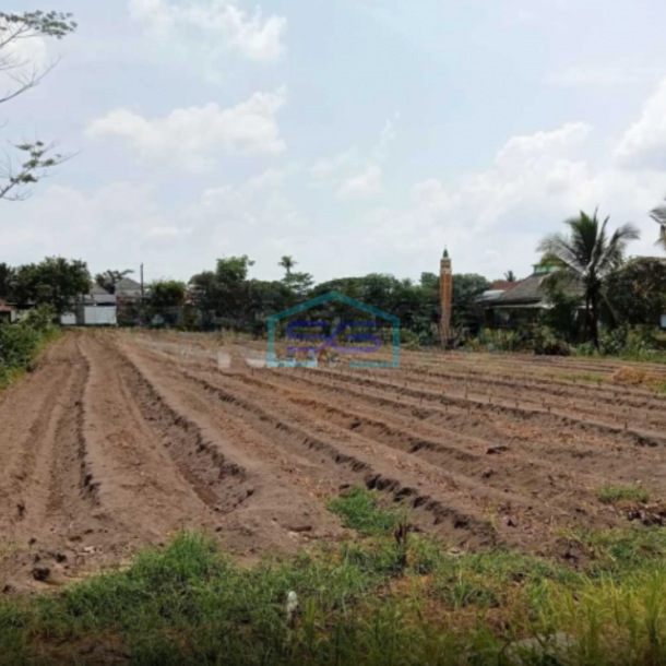 Dijual Tanah Luas Dekat Sekolah Di Harjobinangun, Pakem, Sleman Luas tanah 3616 m²-1