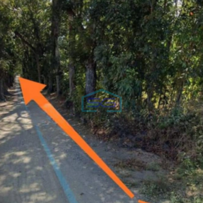 Dijual Tanah Pekarangan, Di Jl Daendels, Purworejo, Jawa Tengah Luas Tanah 5100 m²