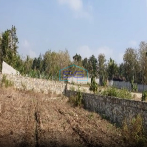 Dijual Tanah Pekarangan Luas 9.076 M2 Sentolo Kulon Progo Jogja-3