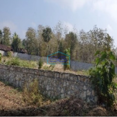 Dijual Tanah Pekarangan Luas 9.076 M2 Sentolo Kulon Progo Jogja-2