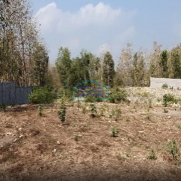 Dijual Tanah Pekarangan Luas 9.076 M2 Sentolo Kulon Progo Jogja-1