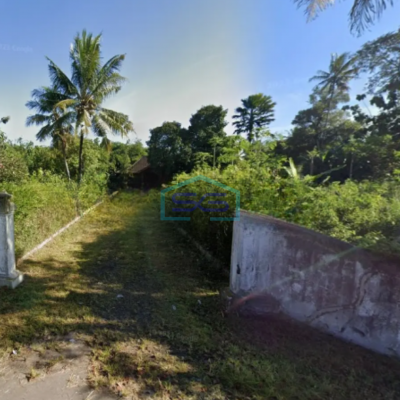 Dijual Tanah Bonus Bangunan Limasan, Sindumartani, Ngemplak, Sleman Luas tanah 9031m2-3