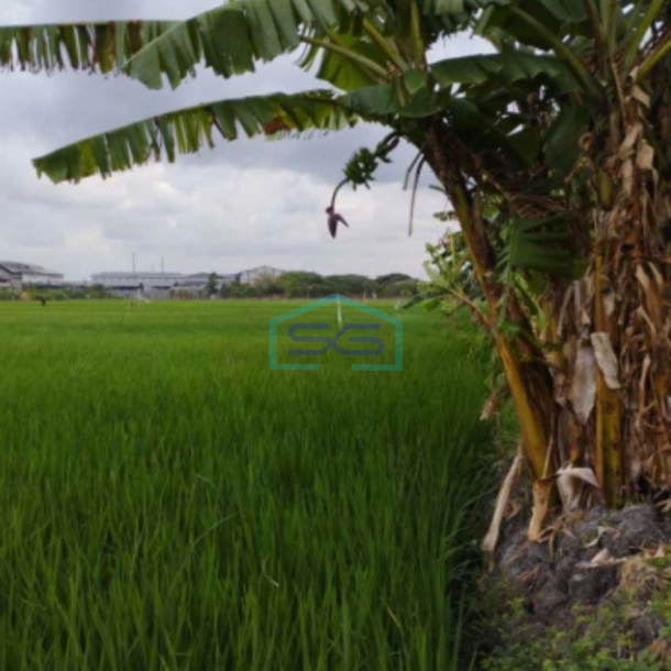 Dijual Tanah Industri Di Bambe, Driyorejo, Gresik, Jawa Timur Luas Tanah 5030 m²-3