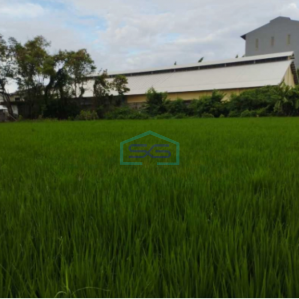 Dijual Tanah Industri Di Bambe, Driyorejo, Gresik, Jawa Timur Luas Tanah 5030 m²-2