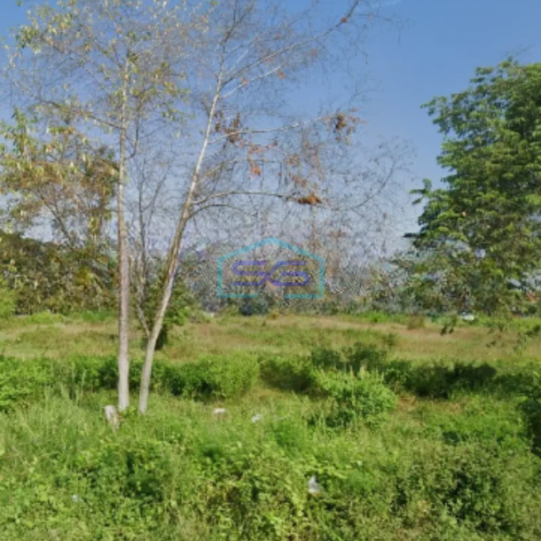 Dijual Tanah Di Kawasan Industri Di Prambanan Jogja Luas Tanah 6000 m²-3