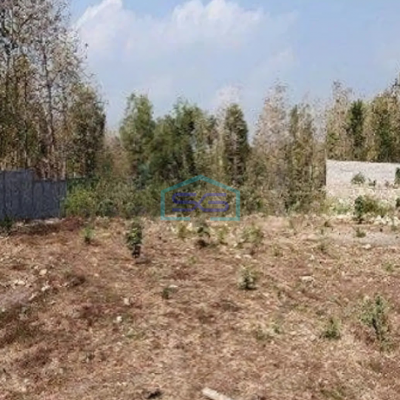 Dijual Tanah Luas 9076 m² di Sentolo Kulon Progo Yogyakarta