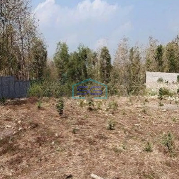 Dijual Tanah Luas 9076 m² di Sentolo Kulon Progo Yogyakarta-1