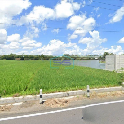 Dijual Tanah Luas  4637 m² di Glamping Sleman Cocok Untuk Pabrik Atau Gudang