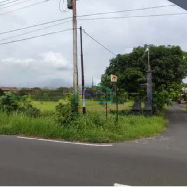 Dijual Tanah Pekarangan Luas Di Tlogo Prambanan Klaten Jogja Liuas Tanah 3897 m²-2