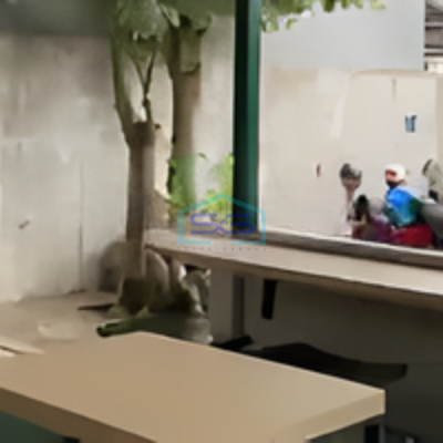 Disewakan Ruang Usaha Di Kawasan Kuliner Dan Sekolah Di Mlati Sleman Jogja Luas Bangunan 410 m²