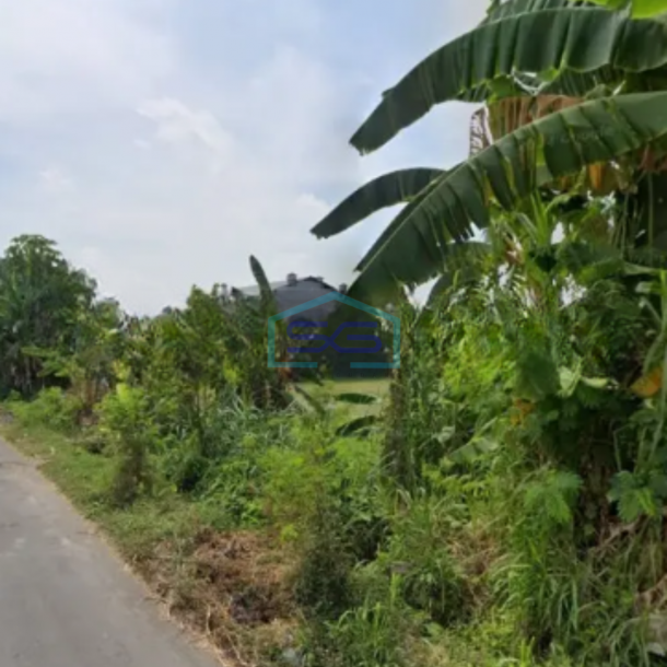 Dijual Tanah Pekarangan Di Sewon Bantul Luas Tanah 2063 m²-2