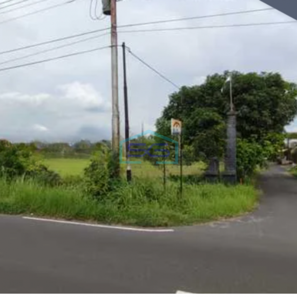 Dijual Tanah Pekarangan Luas Di Tlogo, Prambanan, Klaten Luas Tanah 3897 m²-2
