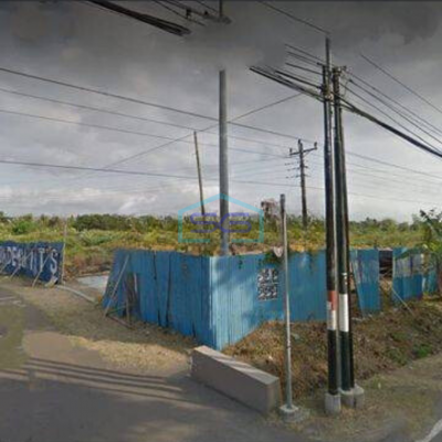 Dijual Tanah Pekarangan 25 Ha, Panggungharjo, Sewon, Bantul, Yogyakarta