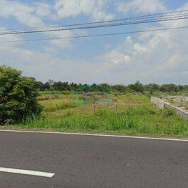 Dijual Tanah Cocok untuk Gudang di Prambanan Klaten-1