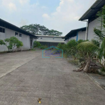 Disewakan Gudang Luas Bangunan 15000 m² di Cikupa Tangerang-2