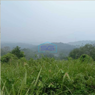 Dijual Tanah Di Jonggol Bogor Luas Tanah 20000 m²