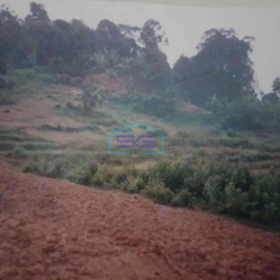 Dijual Tanah Di Jonggol Bogor Luas Tanah 20000 m²