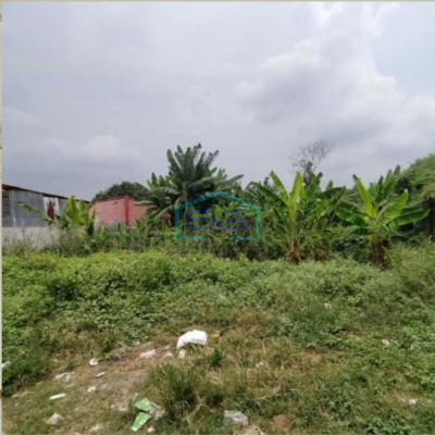 Dijual Tanah Di Kedaung Baru, Neglasari Tangerang Luas Tanah 4965 m²-2