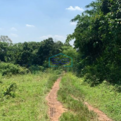 Dijual Tanah Luas 9013 m2 Lokasi Serang Banten