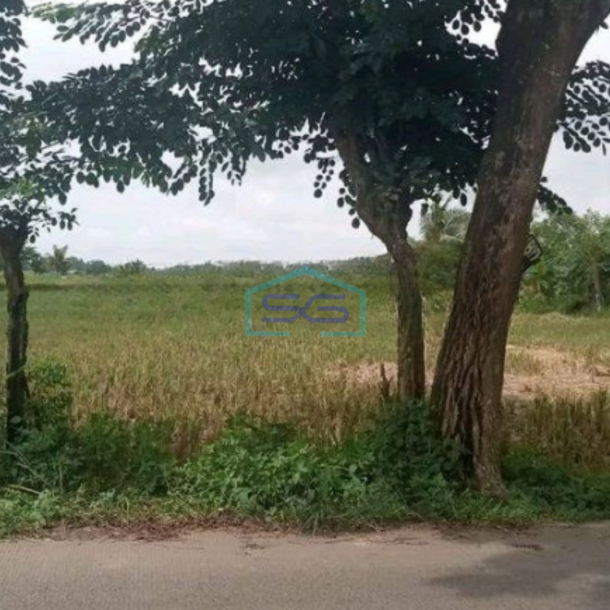 Dijual Tanah Luas 2850 m² Lokasi Pinggir Jalan Pasar Kemis Tangerang-1