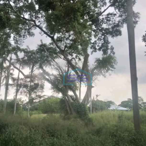 Dijual Tanah Luas 17000 m²  Lokasi Strategis di Pamulang Tangerang Selatan-1