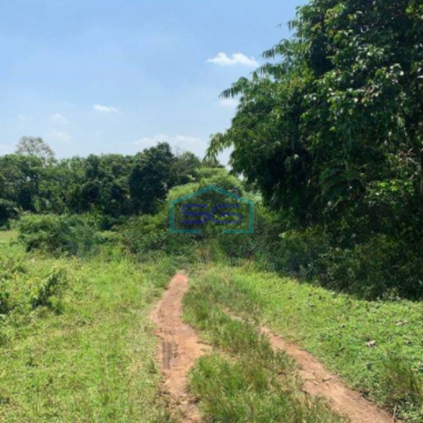 Dijual Tanah Luas 9013 m² Akses Container 40 Feet di Cikeusal Serang-1