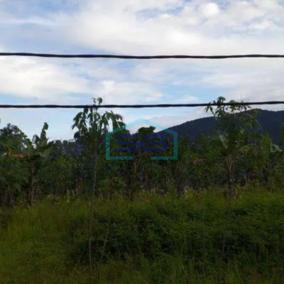 Dijual Tanah di Cisarua Bogor